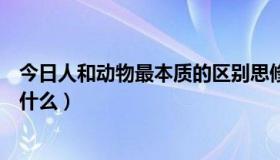 今日人和动物最本质的区别思修（人和动物最本质的区别是什么）