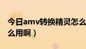 今日amv转换精灵怎么用（AMV转换精灵怎么用啊）