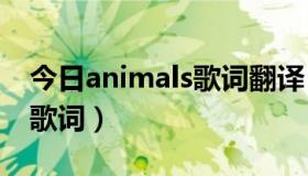 今日animals歌词翻译（ke ha animal 汉译歌词）