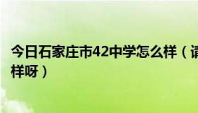 今日石家庄市42中学怎么样（请问石家庄市42中高中部怎么样呀）