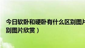 今日软卧和硬卧有什么区别图片欣赏（软卧和硬卧有什么区别图片欣赏）