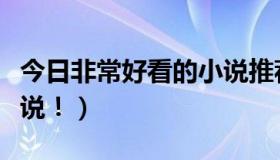 今日非常好看的小说推荐言情（非常好看的小说！）