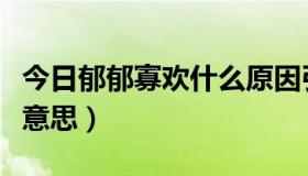 今日郁郁寡欢什么原因引起的（郁郁寡欢什么意思）