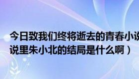 今日致我们终将逝去的青春小说朱小北结局（《致青春》小说里朱小北的结局是什么啊）