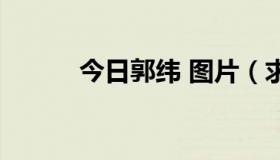 今日郭纬 图片（求郭纬的资料）