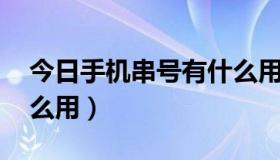 今日手机串号有什么用途啊（手机串号 有什么用）