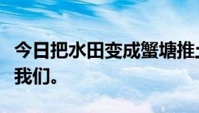 今日把水田变成蟹塘推土有什么要求？请帮助我们。