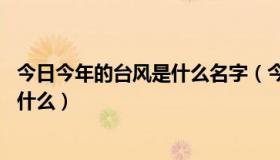 今日今年的台风是什么名字（今年台风命名 今年的台风都叫什么）