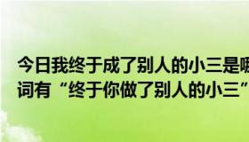 今日我终于成了别人的小三是哪首歌的歌词（求一首歌，歌词有“终于你做了别人的小三”！）