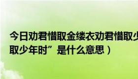 今日劝君惜取金缕衣劝君惜取少年时（金缕衣中的“劝君惜取少年时”是什么意思）