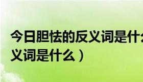 今日胆怯的反义词是什么最佳答案（胆怯的反义词是什么）