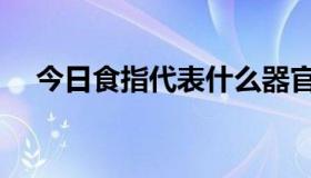 今日食指代表什么器官（食指代表什么）