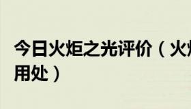 今日火炬之光评价（火炬之光里的声望有什么用处）