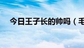 今日王子长的帅吗（毛弟帥還是王子帥）