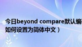 今日beyond compare默认编码方式（Beyond Compare如何设置为简体中文）