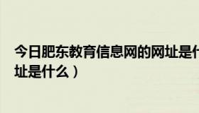 今日肥东教育信息网的网址是什么啊（肥东教育信息网的网址是什么）