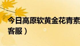 今日高原软黄金花青素之王（关于如何进HP客服）