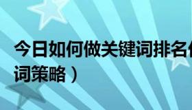 今日如何做关键词排名优化原理（如何做关键词策略）