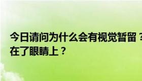 今日请问为什么会有视觉暂留？是大脑的感觉，还是真的留在了眼睛上？