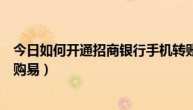 今日如何开通招商银行手机转账功能（如何开通招商银行车购易）