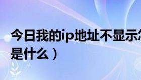 今日我的ip地址不显示怎么回事（我的IP地址是什么）