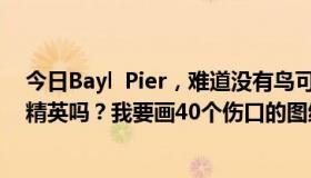 今日Bayl  Pier，难道没有鸟可以飞过去吗？那里的怪物是精英吗？我要画40个伤口的图纸~