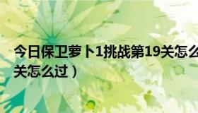 今日保卫萝卜1挑战第19关怎么过（手机保卫萝卜挑战第19关怎么过）