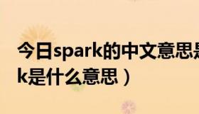 今日spark的中文意思是什么（apache spark是什么意思）