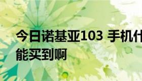 今日诺基亚103 手机什么时候，在中国大陆能买到啊