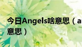 今日Angels啥意思（angel besats中文什么意思）