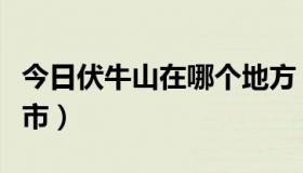 今日伏牛山在哪个地方（伏牛山景点在哪个城市）