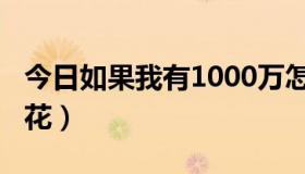 今日如果我有1000万怎么花（2000万该怎么花）