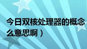 今日双核处理器的概念（电脑双核处理器是什么意思啊）