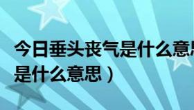 今日垂头丧气是什么意思怎么解释（垂头丧气是什么意思）