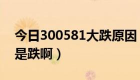 今日300581大跌原因（300117股票怎么老是跌啊）