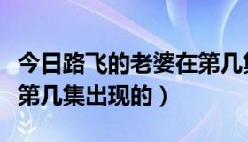 今日路飞的老婆在第几集结婚（路飞的老婆在第几集出现的）