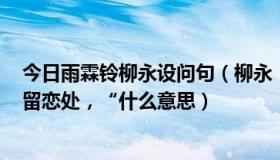 今日雨霖铃柳永设问句（柳永《雨霖铃》中”都门帐无绪，留恋处，“什么意思）