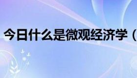 今日什么是微观经济学（什么是微观经济学）