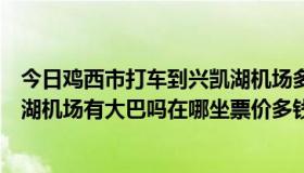 今日鸡西市打车到兴凯湖机场多少钱（鸡西市里怎么去兴凯湖机场有大巴吗在哪坐票价多钱）