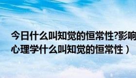 今日什么叫知觉的恒常性?影响知觉恒常性的因素有哪些?（心理学什么叫知觉的恒常性）