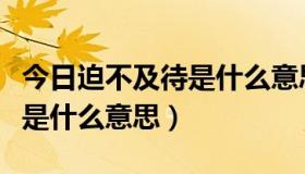 今日迫不及待是什么意思解释一下（迫不及待是什么意思）