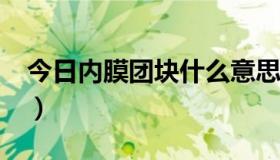 今日内膜团块什么意思（N门、T裤什么意思）