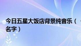 今日五星大饭店背景纯音乐（《五星大饭店》的片尾曲是啥名字）