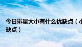 今日排量大小有什么优缺点（小排量是什么意思有什么优点缺点）