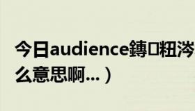 今日audience鏄粈涔堟剰鎬濆晩（AU.是什么意思啊...）