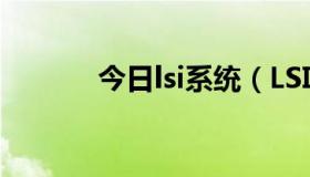 今日lsi系统（LSI的公司简介）