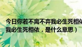 今日你若不离不弃我必生死相依是什么意思（你若不离不弃我必生死相依，是什么意思）