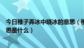 今日稚子弄冰中晓冰的意思（稚子弄冰这首诗中晓和穿的意思是什么）