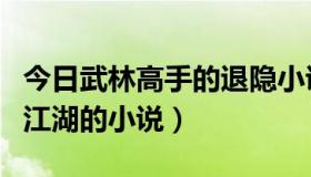 今日武林高手的退隐小说（求高手隐退又重出江湖的小说）