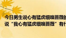 今日男生说心有猛虎细嗅蔷薇的意思是什么呀（男生跟女生说“我心有猛虎细嗅蔷薇”有什么含义）